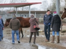Seminar Pensionspferdehalter 2015_4